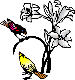 Two birds alight on lilies.